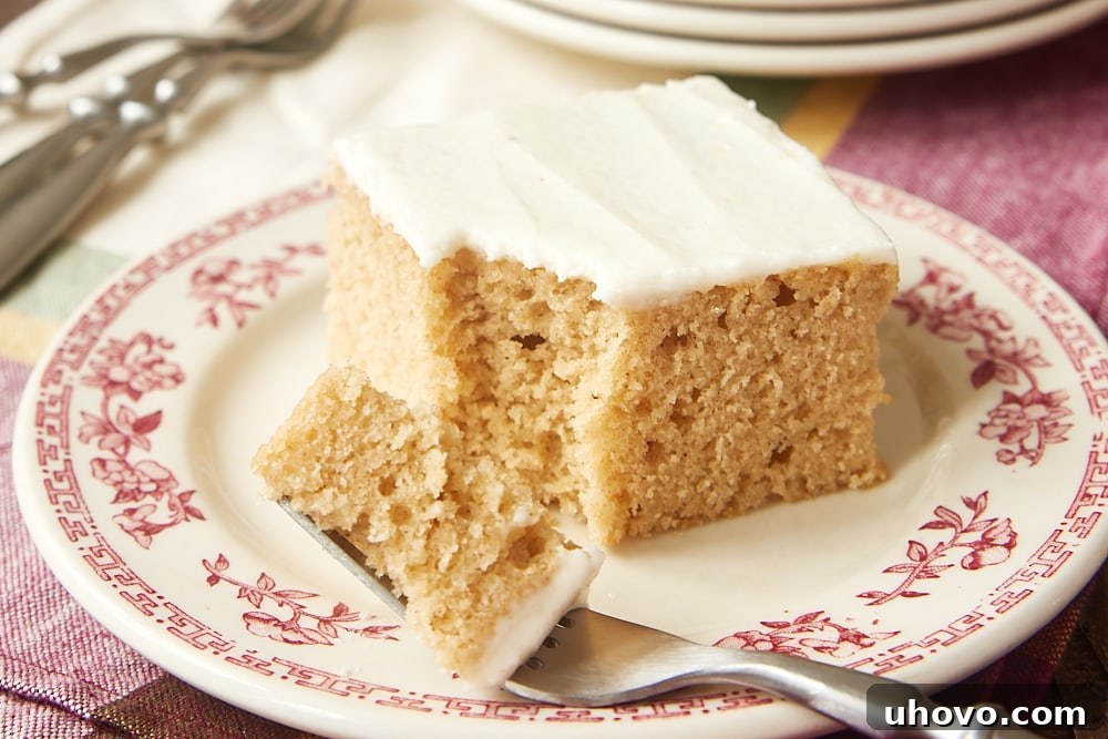 Slice of spice cake on a red and white floral plate