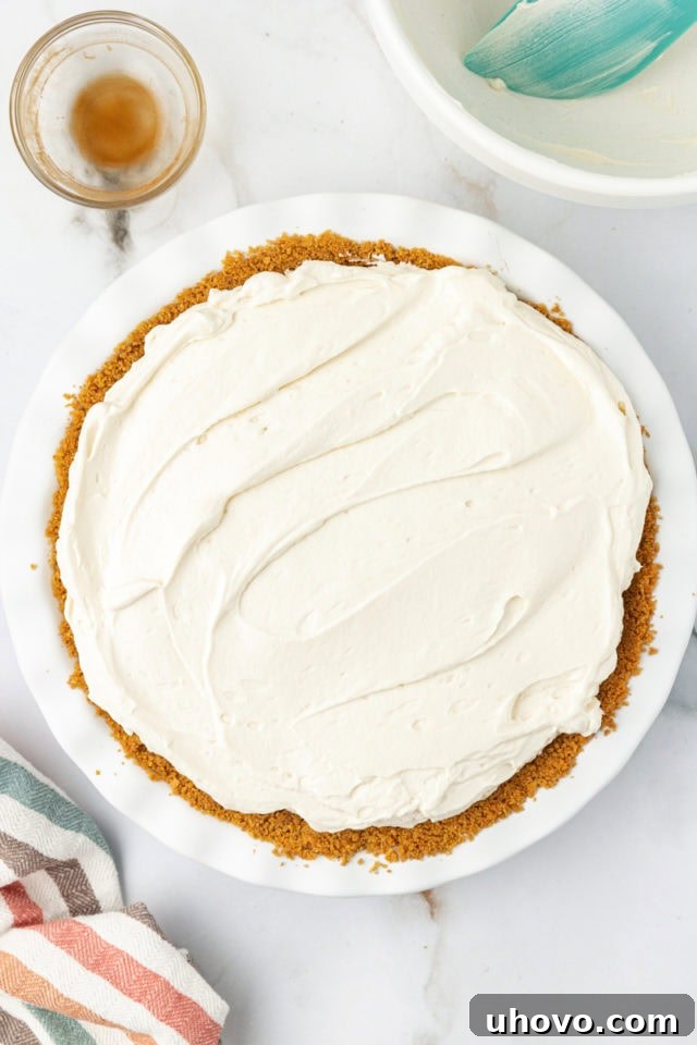 Overhead view of the smooth, even cheesecake layer for chocolate cookie dough cheesecake
