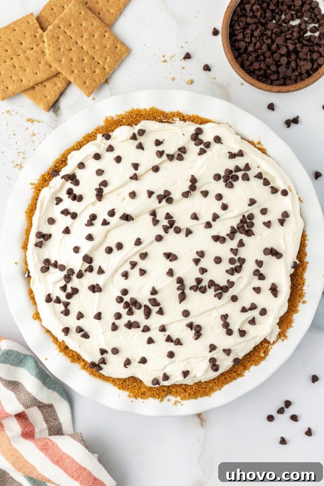 Overhead view of the whole chocolate cookie dough cheesecake in a pie dish, garnished