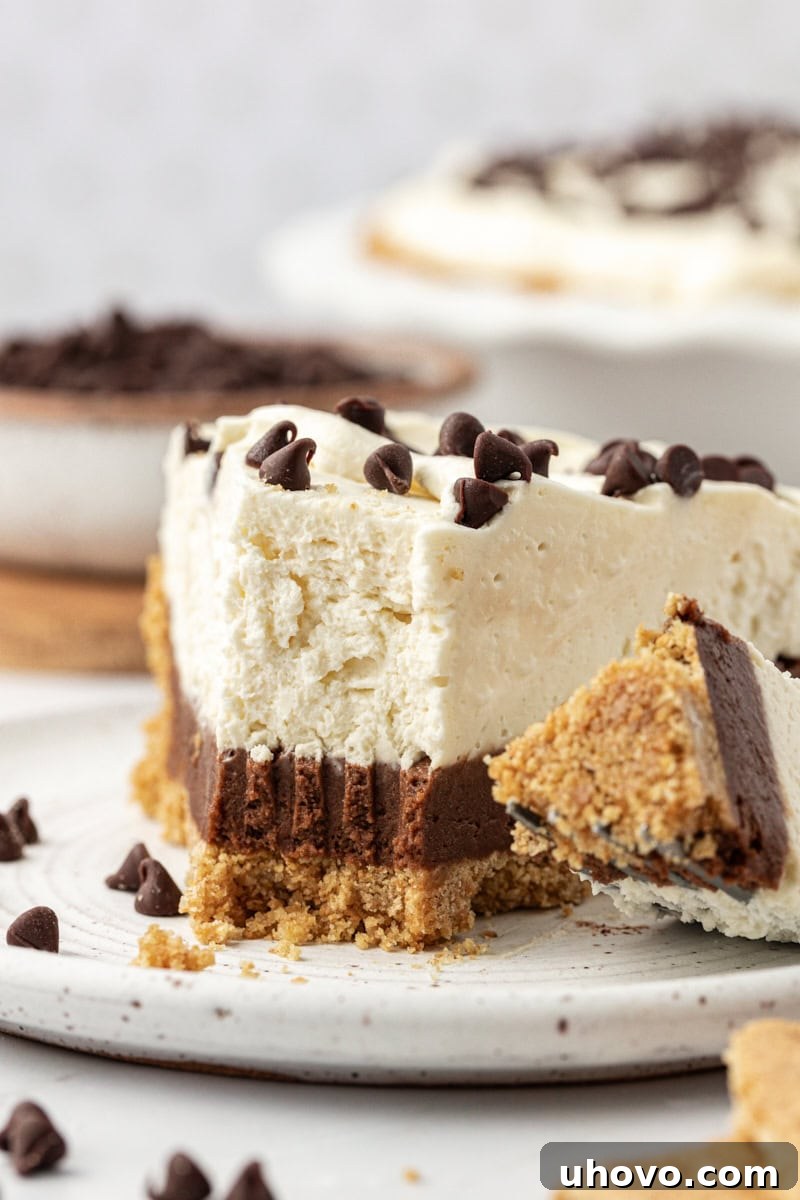Closeup of a delectable slice of chocolate cookie dough cheesecake on a plate with the tip of a fork in it