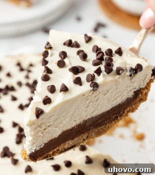 Lifting a slice of chocolate cookie dough cheesecake from the pan