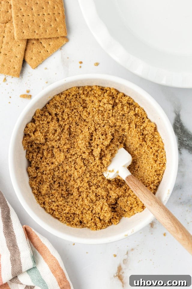 Crust mixture for chocolate cookie dough cheesecake, showing the blended crumbs and butter