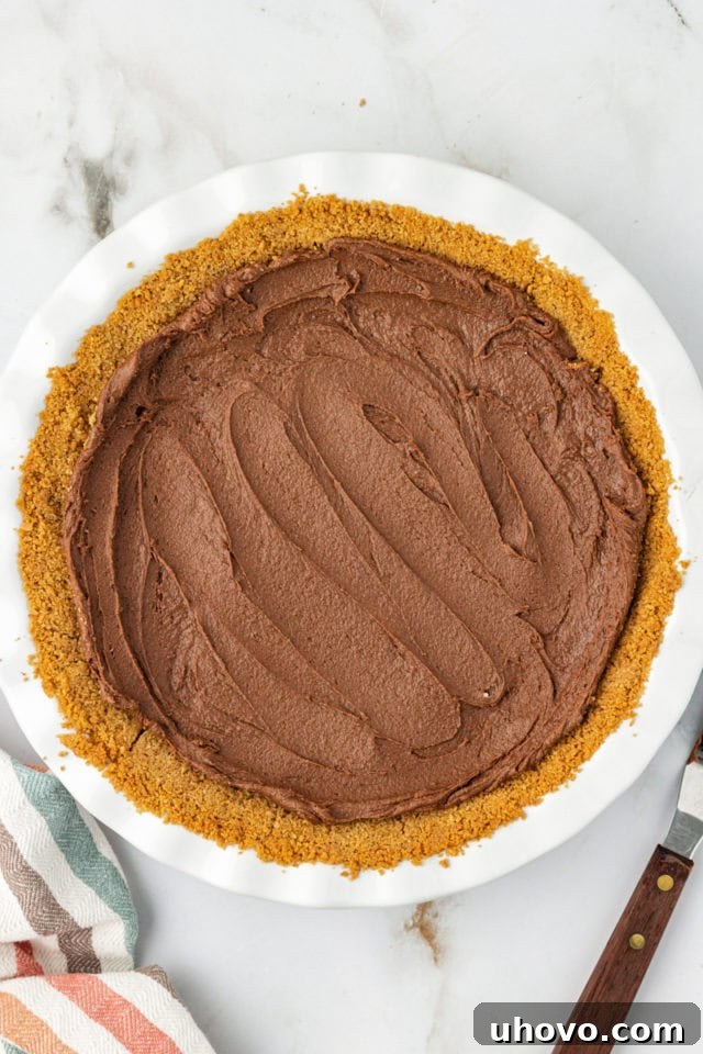 Overhead view of the chocolate cookie dough layer spread evenly over the baked crust