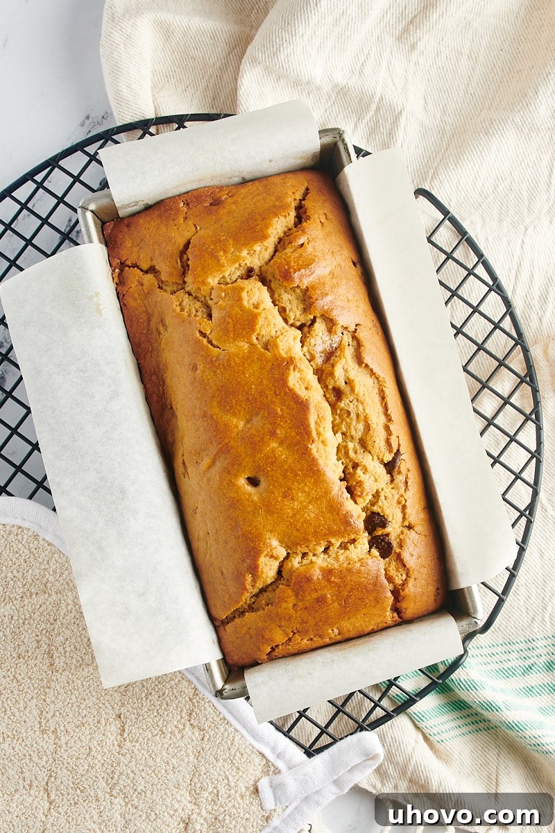 Overhead view of the baked chocolate chip peanut butter bread cooling in its pan on a wire rack.