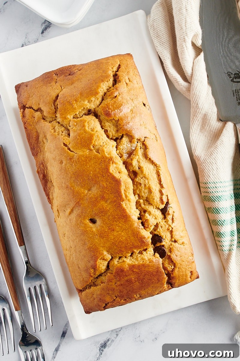 Overhead view of a freshly baked, whole loaf of Chocolate Chip Peanut Butter Bread with a golden-brown crust.