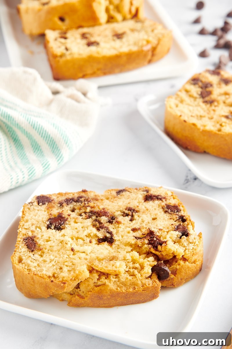 A single, inviting slice of Chocolate Chip Peanut Butter Bread on a white plate, ready to be enjoyed.