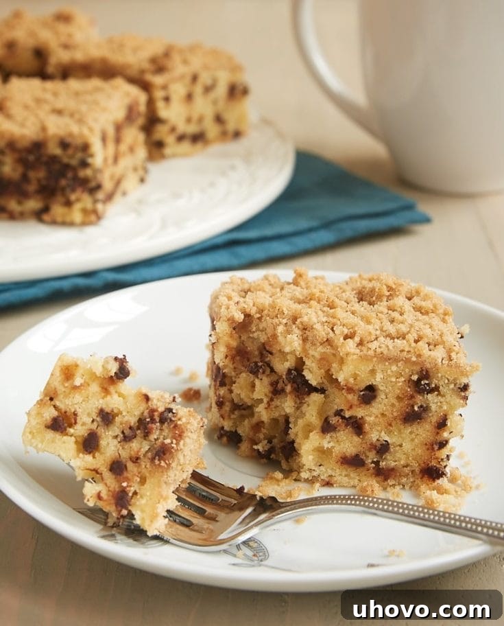 Chocolate Chip Crumb Cake with a chocolate chip-studded cake and cinnamon crumb topping