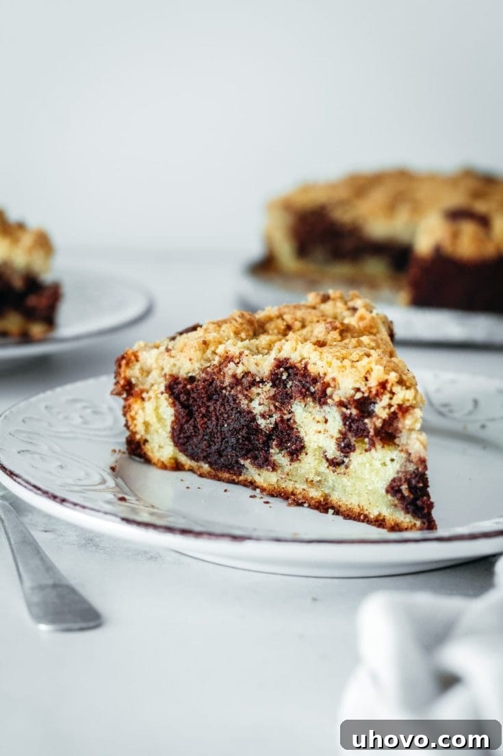 Chocolate Swirl Coffee Cake with vanilla and chocolate batter