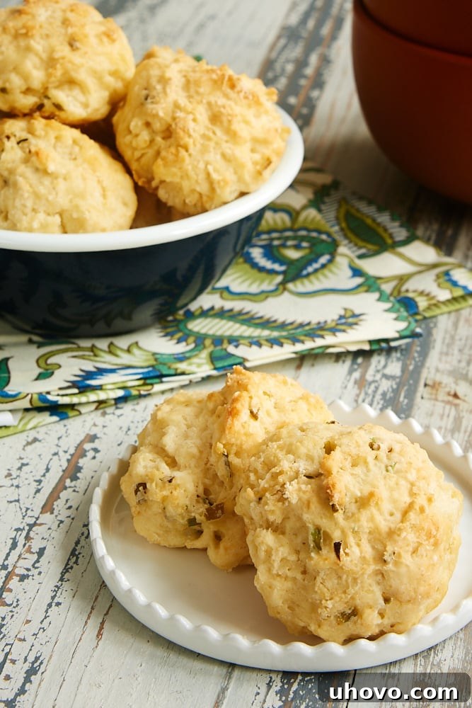 One-bowl Sour Cream and Chive Biscuits are a quick and easy addition to your dinner. Make these drop biscuits when you need a simple bread in a snap! - Bake or Break