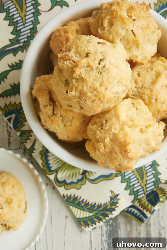 Sour Cream and Chive Biscuits combine the tang of sour cream biscuits with the great flavor of fresh chives for a wonderful quick and easy dinner bread. - Bake or Break