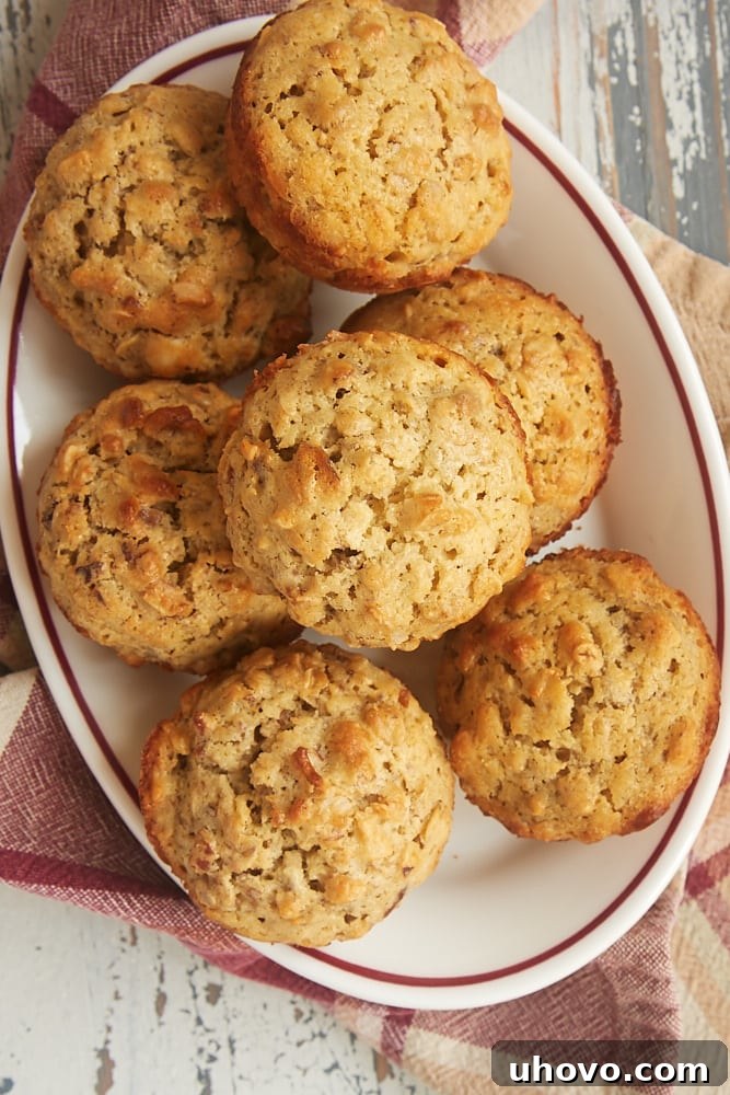 overhead view of Oat Muffins with Nuts and Seeds on a red-rimmed white plate