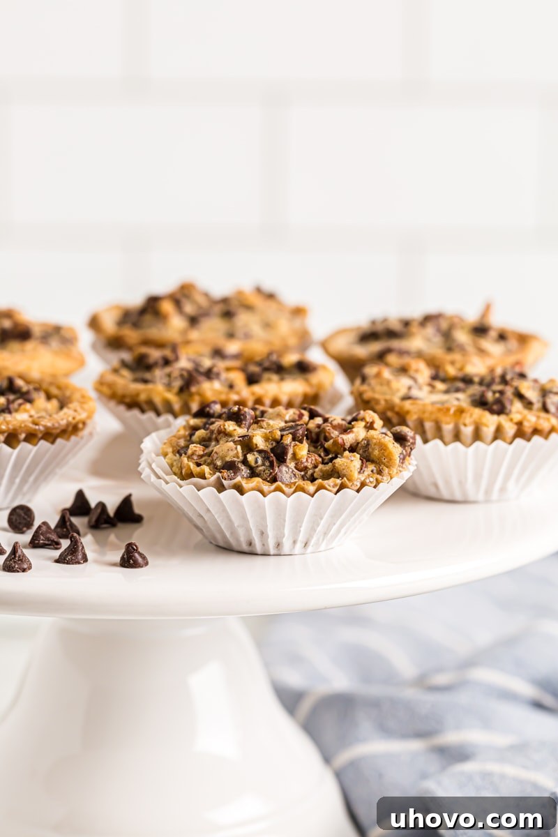 Chocolate chip cupcakes on a cake stand, ready to be enjoyed