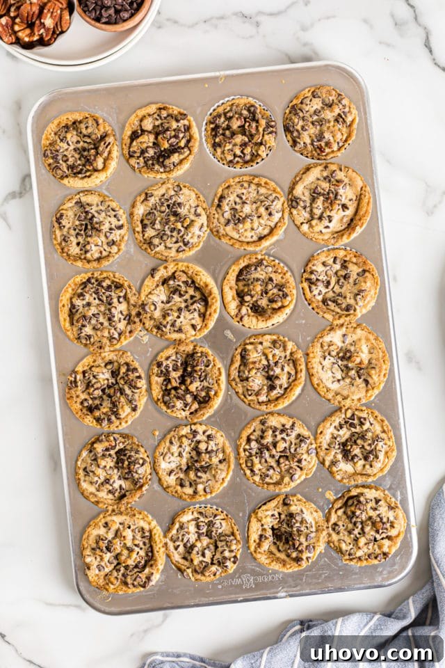 Overhead view of chocolate chip cupcakes in muffin tin