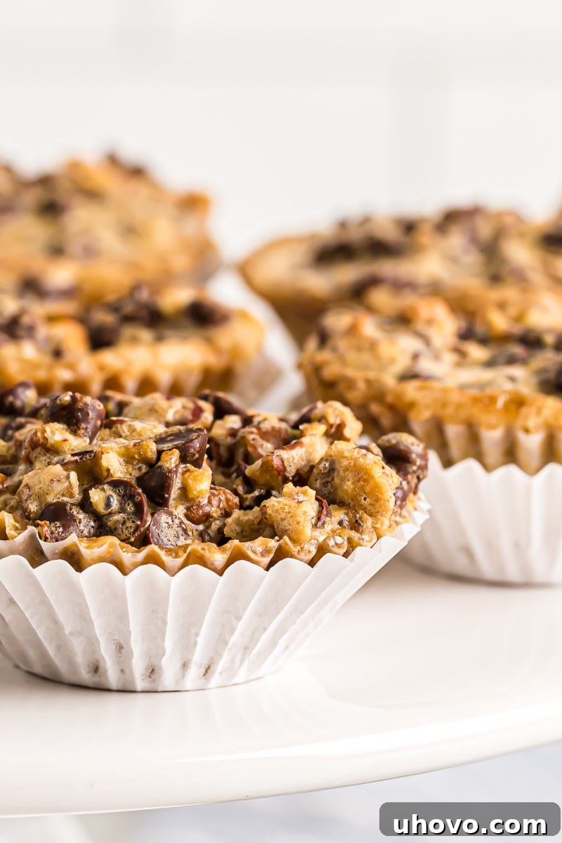 Closeup of chocolate chip cupcakes in cupcake wrappers