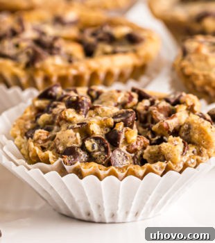 Chocolate chip cupcakes in cupcake wrappers