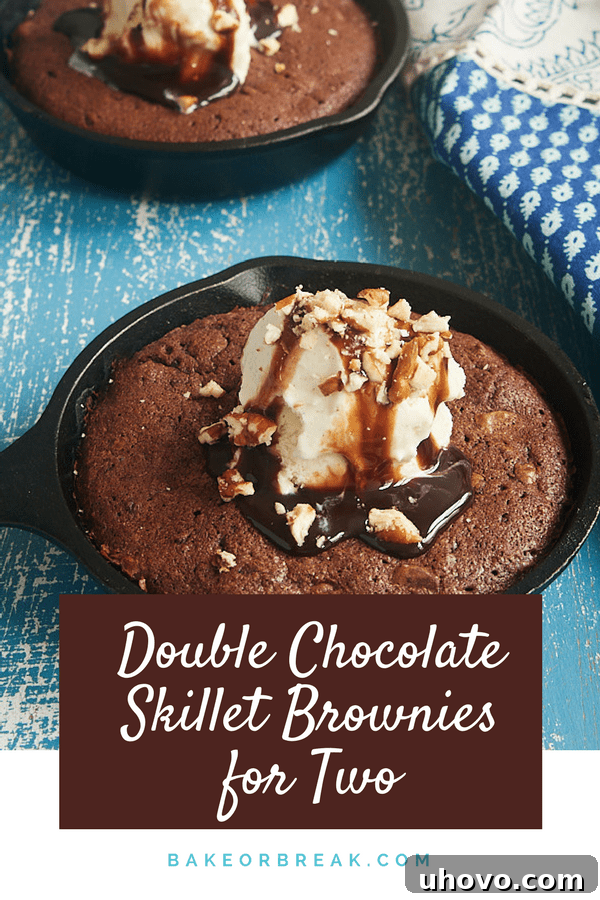 Double Chocolate Skillet Brownies for Two bakeorbreak.com