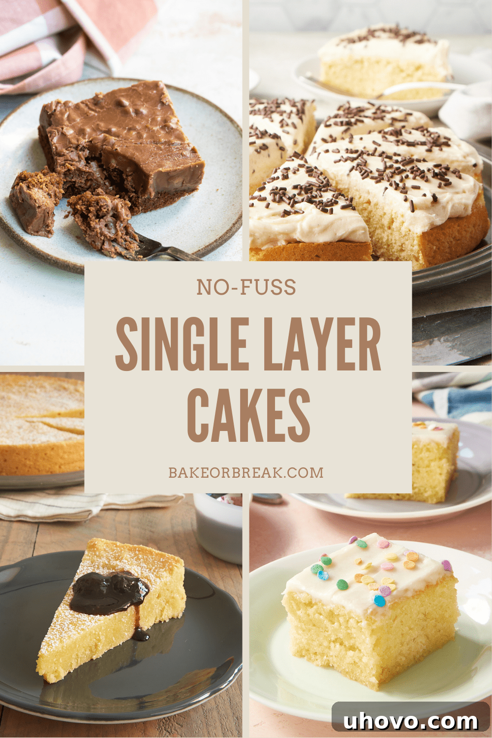 Collection of delectable single layer cakes, including chocolate, lemon, and berry varieties, showcasing simple elegance and ease of baking
