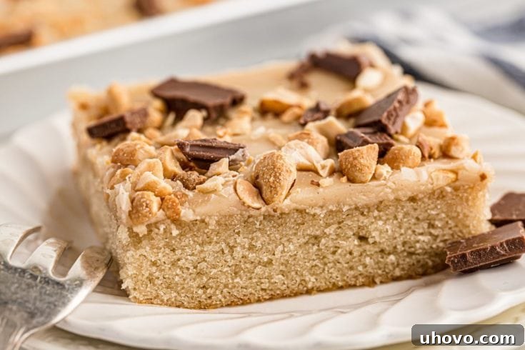 Peanut Butter Texas Sheet Cake topped with chocolate chips and peanuts
