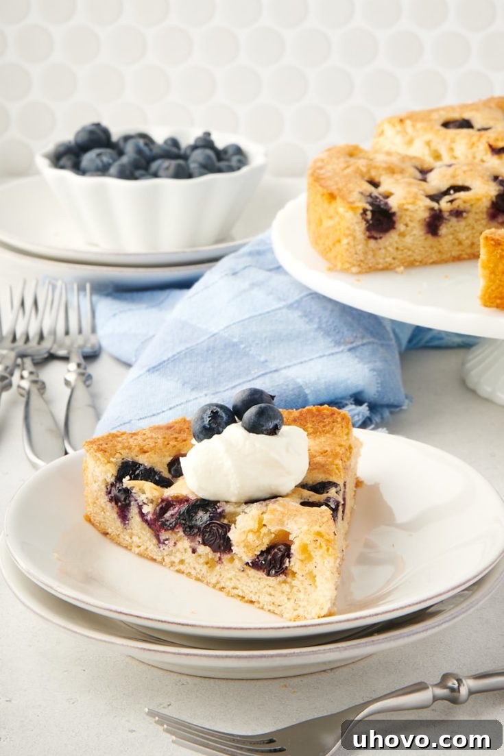 Fluffy Simple Blueberry Cake with a light crumb and fresh blueberries