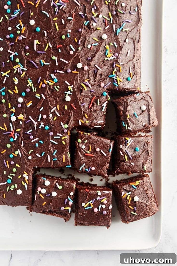 Rich chocolate sheet cake, generously topped with sprinkles