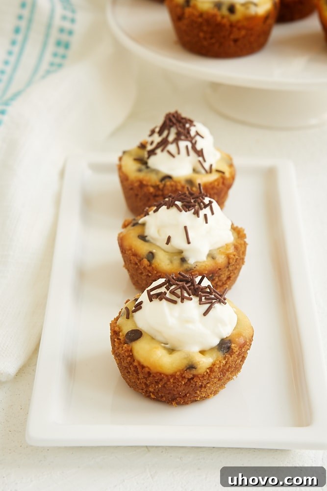 Chocolate Chip Cheesecake Bites on a small white tray