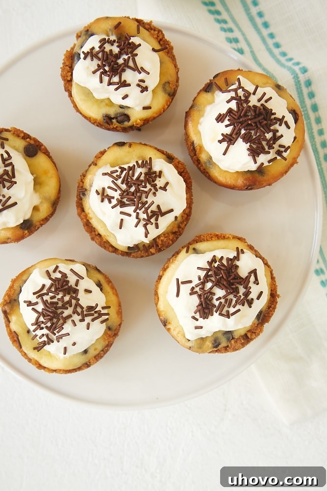 overhead view of Chocolate Chip Cheesecake Bites on a small white cake pedestal