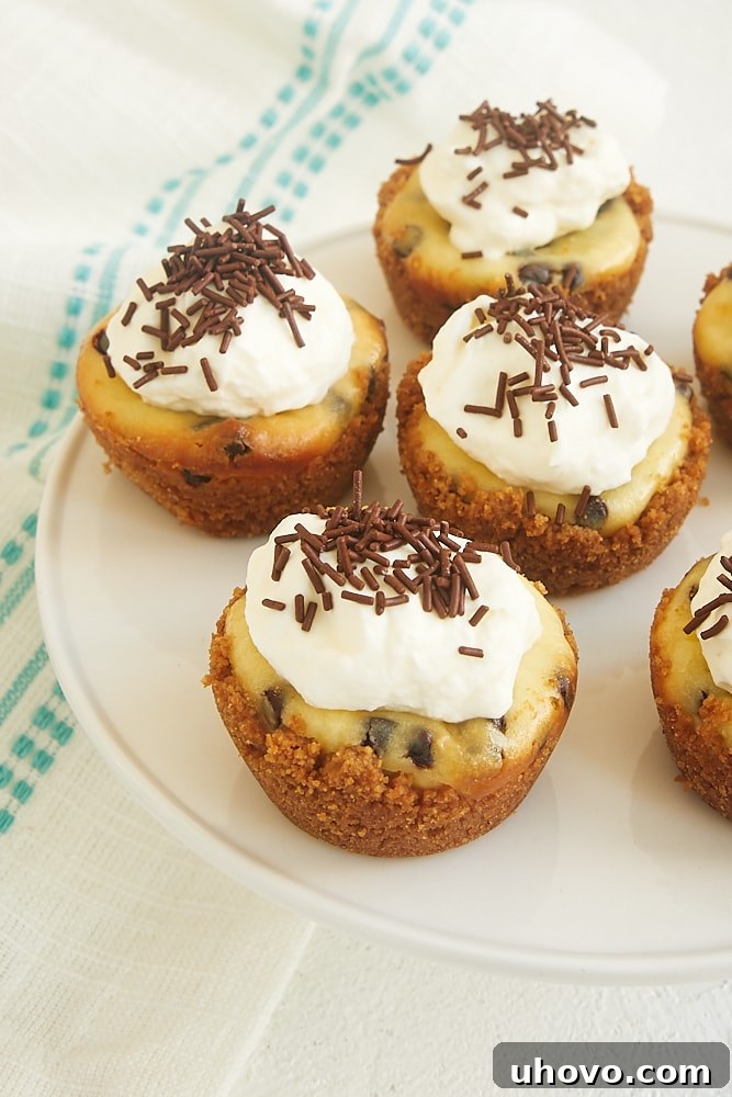 Chocolate Chip Cheesecake Bites on a small white cake pedestal