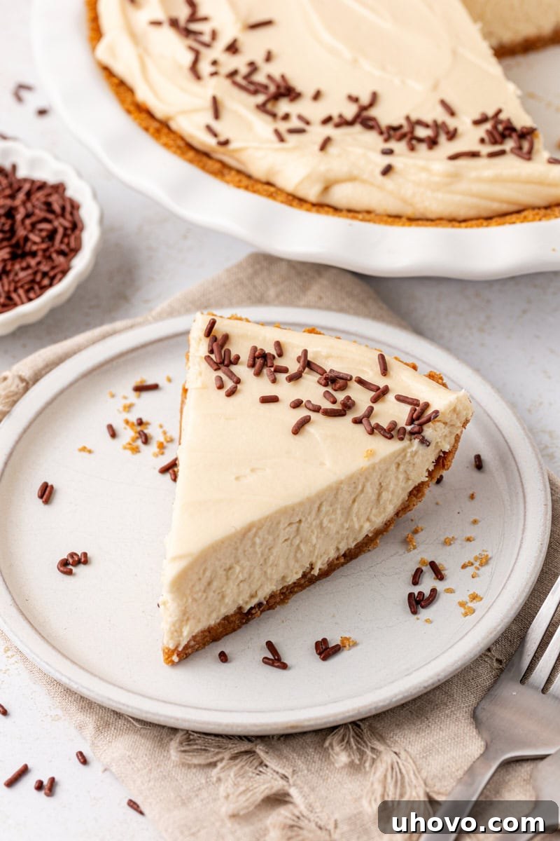 A perfectly sliced piece of no-bake Bailey's cheesecake on a white plate, with the rest of the creamy dessert visible in the background, garnished with chocolate shavings.