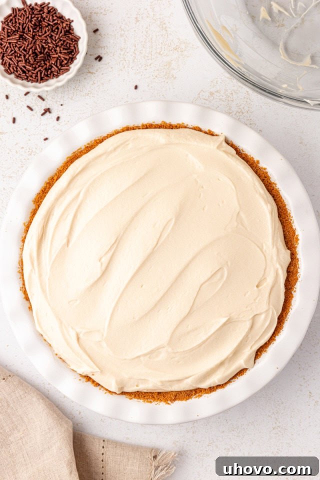 The assembled no-bake Bailey's cheesecake in a white pie plate, ready to be chilled and set.