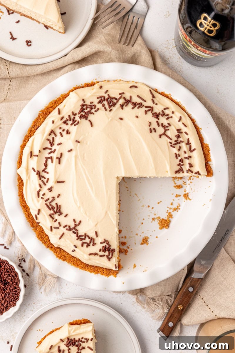An overhead shot of a luscious no-bake Bailey's cheesecake, with two perfect slices already removed, revealing the creamy interior and firm crust.