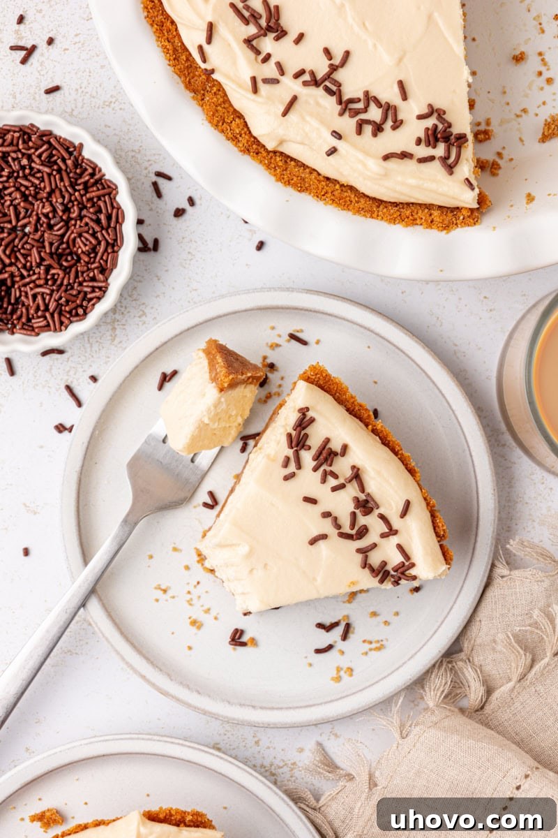 An overhead close-up of a slice of no-bake Bailey's cheesecake on a plate with a fork taking a perfect bite, highlighting the creamy texture and inviting appearance.