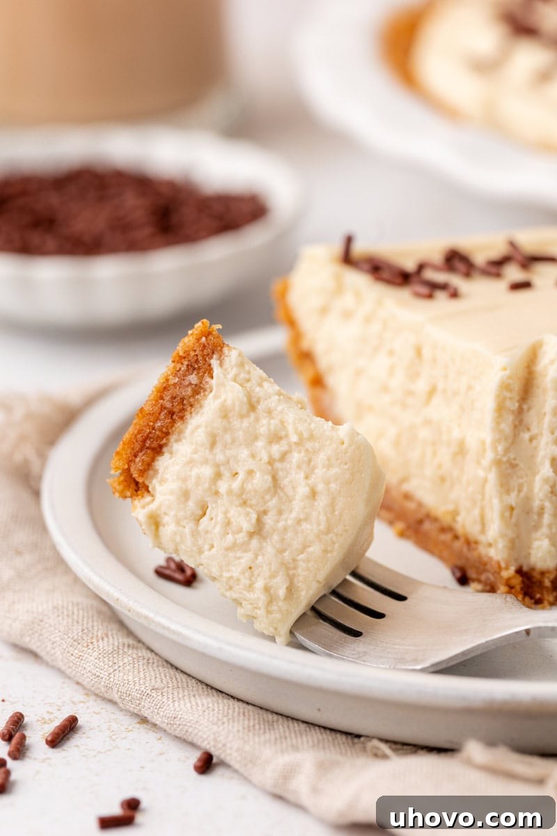 A close-up of a spoonful of creamy no-bake Bailey's cheesecake on a fork, positioned over a plate with the remaining slice, showcasing the rich texture and inviting taste.