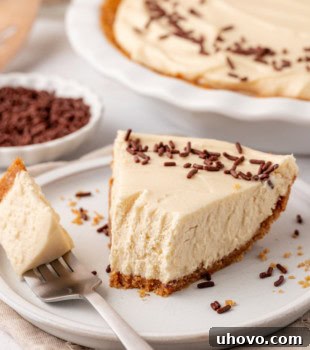 A beautifully presented no-bake Bailey's cheesecake on a white plate, with a fork taking a bite, ready for tasting.