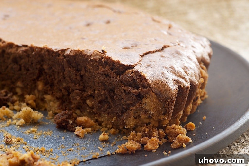 Dress up your brownies with this beautiful and delicious Hazelnut Brownie Tart.