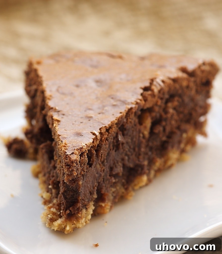 Dress up your brownies with this beautiful and delicious Hazelnut Brownie Tart. - Bake or Break