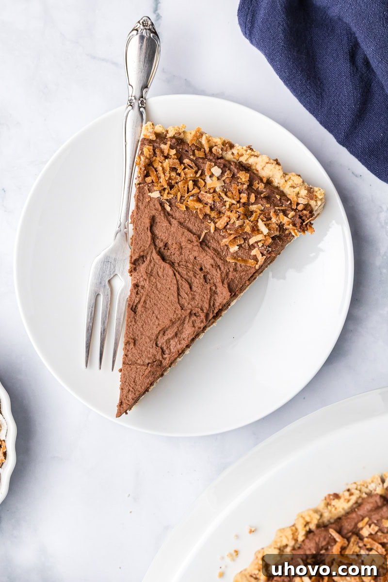 A pristine slice of chocolate mousse pie, adorned with a delicate swirl of whipped cream and a sprinkle of chocolate shavings, presented on a white plate.