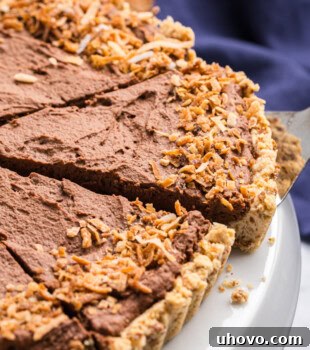Close up of a partially sliced chocolate mousse pie, showing the dark, smooth mousse and the golden crust.