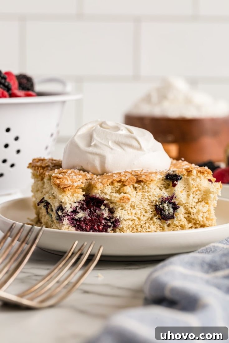 Simple Berry Vanilla Cake