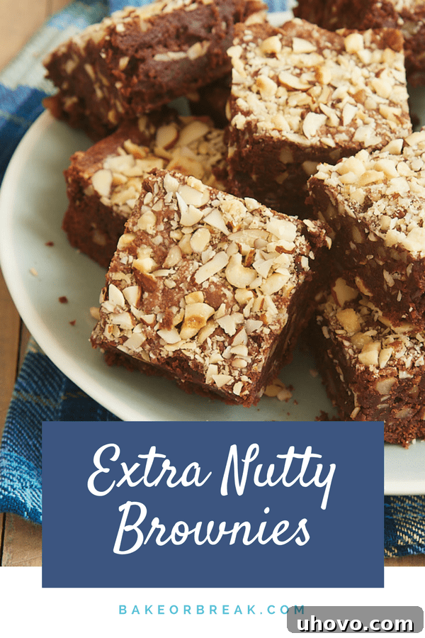 Extra Nutty Brownies bakeorbreak.com