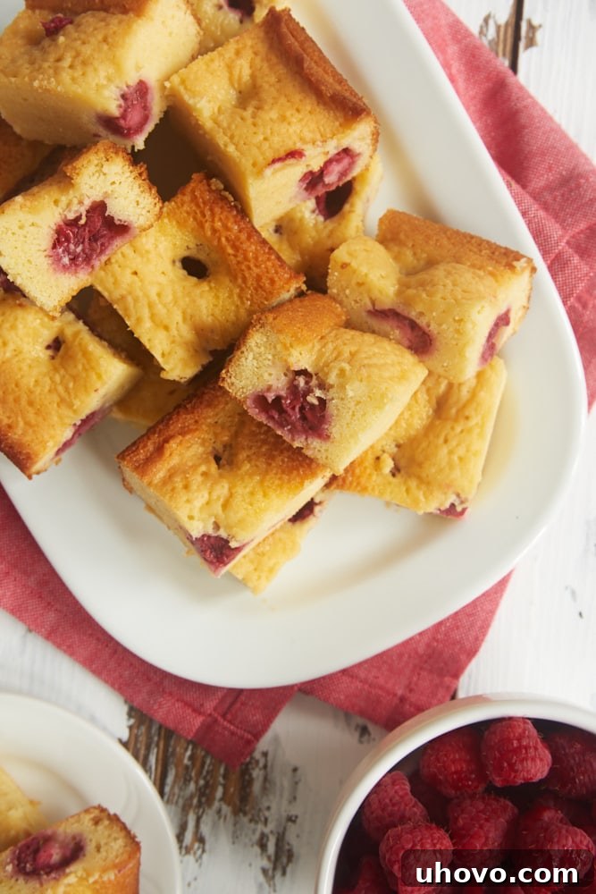 A close-up view of Raspberry White Chocolate Brownies arranged on a plate, highlighting the vibrant red raspberries contrasting with the pale brownie base.