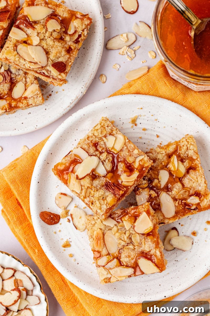 overhead view of three apricot bars on a white plate