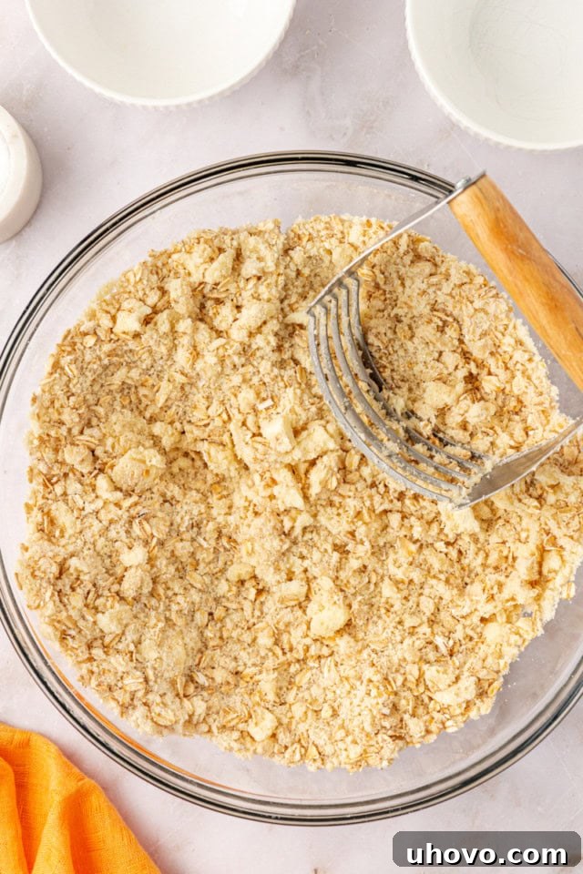 overhead view of mixed crust mixture for apricot bars in a glass mixing bowl