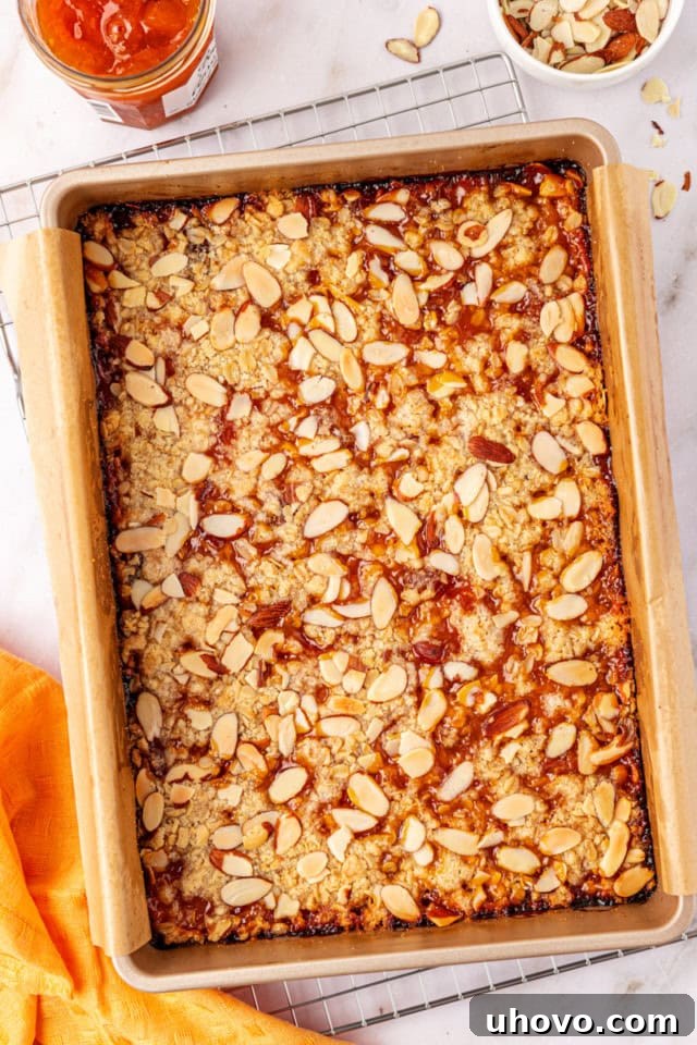 overhead view of freshly baked apricot bars in a rectangular pan