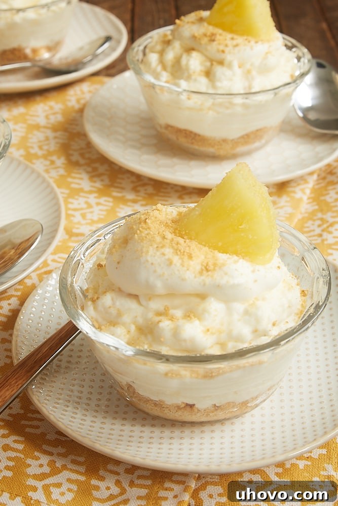 Individual No-Bake Pineapple Cheesecakes garnished with fresh whipped cream, pineapple wedges, and a sprinkle of graham cracker crumbs.