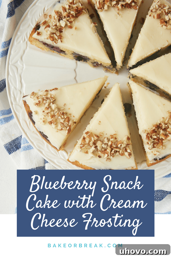 Blueberry Snack Cake with Cream Cheese Frosting bakeorbreak.com