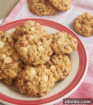 Close-up of a Strawberry White Chocolate Oatmeal Cookie on a red-rimmed plate, showing its detailed texture and ingredients.