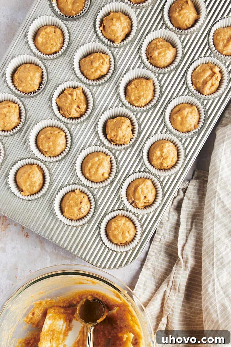 An overhead view of evenly portioned muffin batter in a mini muffin pan, showcasing the precision achievable with cookie scoops.