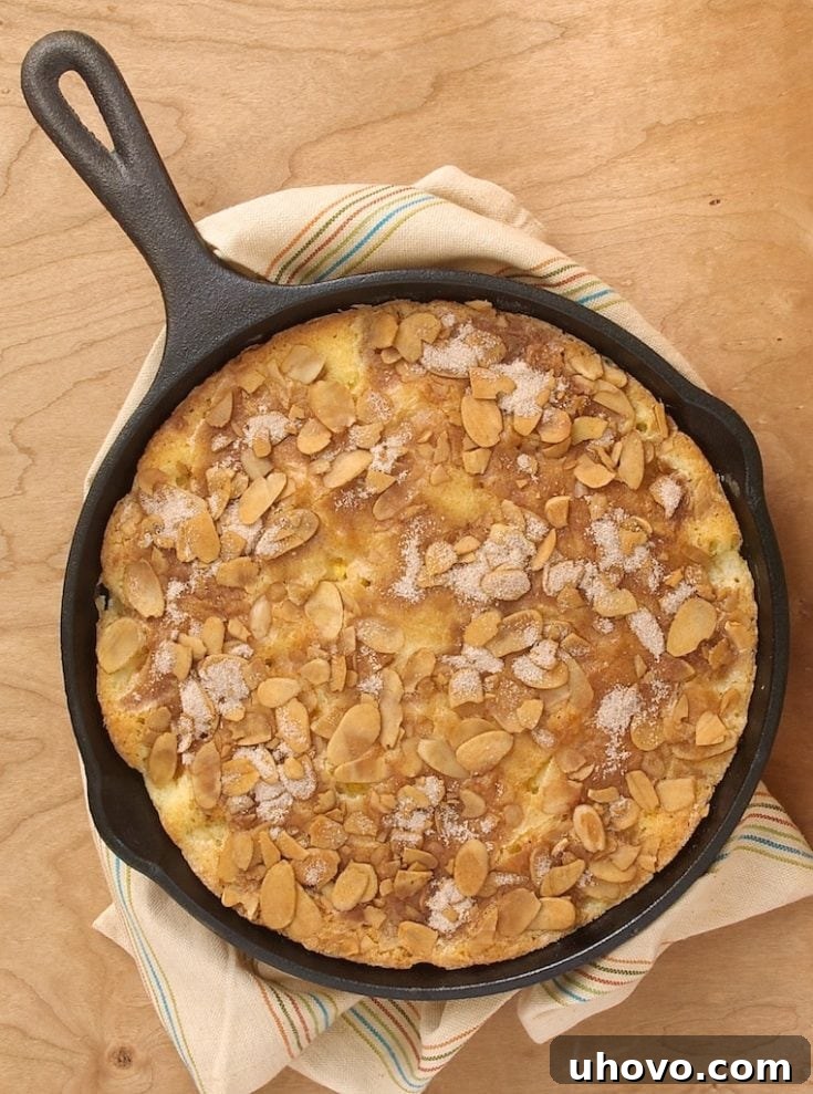 Peach and Nectarine Buckle with a crumb topping