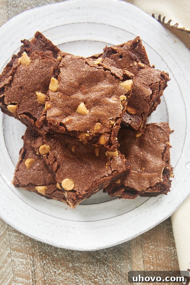 Close-up of a Peanut Butter Chip Brownie, showcasing its dense, fudgy interior and visible peanut butter chips
