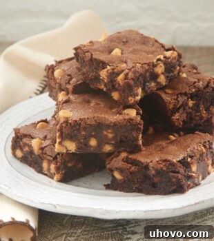 Stack of Peanut Butter Chip Brownies, highlighting the peanut butter chips